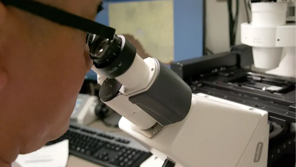 A pathologist examines a sample through a microscope at BC Cancer, the first step in turning single cells into sequenced data.